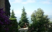 Photo submitted by guest of La Capraia