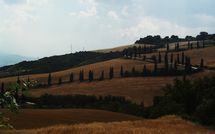 Photo submitted by guest of Podere la Marronaia