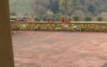 Photo submitted by guest of Podere la Marronaia