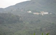 Photo submitted by guest of Podere Centone