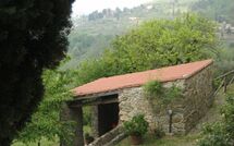 Photo submitted by guest of Podere Centone