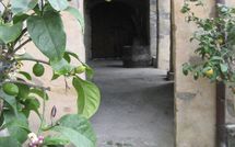 Photo submitted by guest of Podere Centone