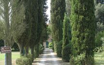 Photo submitted by guest of Villa Fontine