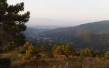 Photo submitted by guest of Flavia