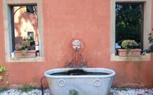 Photo submitted by guest of Villa Oleandri