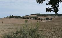 Photo submitted by guest of Casali Dell Osteria