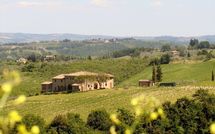 Photo submitted by guest of Borgo Tollena