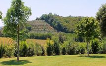 Photo submitted by guest of Casa Cervognano