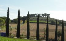 Photo submitted by guest of Villa Carolina