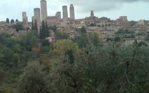 Photo submitted by guest of Borgo Tollena