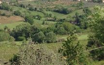 Photo submitted by guest of Agriturismo Paterno