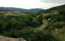 Photo submitted by guest of Casa Monica