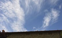 Photo submitted by guest of Casa Ivan