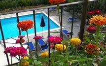 Photo submitted by guest of Palazzo Rosadi