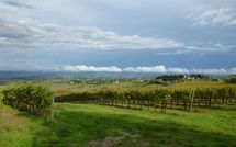 Photo submitted by guest of Podere degli Olivi