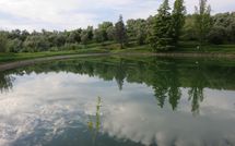 Photo submitted by guest of Fattoria le Poggiola