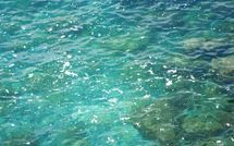 Photo submitted by guest of Pellegrinetti