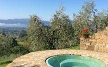 Photo submitted by guest of Villa Flora