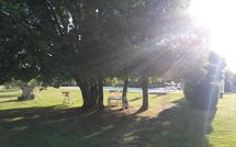 Photo submitted by guest of Villa Fontine