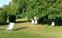 Photo submitted by guest of Villa Fontine