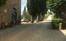 Photo submitted by guest of Drugo