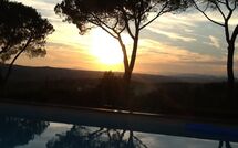 Photo submitted by guest of Drugo