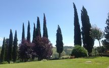 Photo submitted by guest of Casa Sabrina