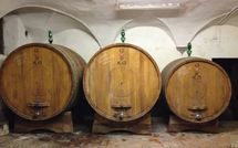 Photo submitted by guest of Villa del Mughetto