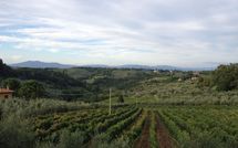 Photo submitted by guest of Villa del Mughetto