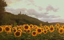 Photo submitted by guest of Casa San Martino