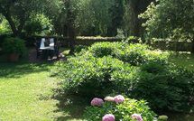 Photo submitted by guest of Tenuta Villa la Chiusa Schnautzer