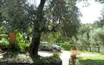 Photo submitted by guest of Tenuta Villa la Chiusa Schnautzer