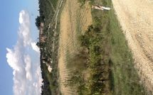 Photo submitted by guest of Villa Gallo Nero