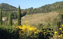 Photo submitted by guest of Villa Molinaccio