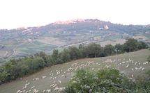 Photo submitted by guest of Villa Nibbiano