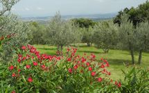 Photo submitted by guest of Villa Nibbiano