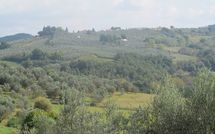 Photo submitted by guest of Montegufoni