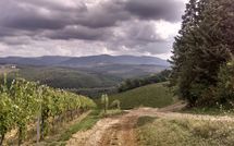 Photo submitted by guest of Tenuta