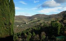 Photo submitted by guest of Casa Allinuzza