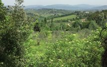 Photo submitted by guest of Villa Saladini