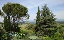 Photo submitted by guest of Giovanna Vacanze