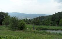 Photo submitted by guest of Casa Cristina