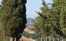 Photo submitted by guest of Casa Cipressi