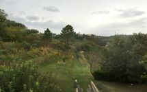 Photo submitted by guest of Villa Cinzia