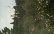 Photo submitted by guest of Villa Cinzia