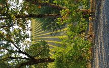 Photo submitted by guest of Le Gallozzole