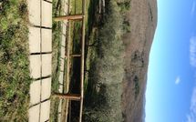 Photo submitted by guest of Villa Saverio