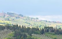 Photo submitted by guest of Massi