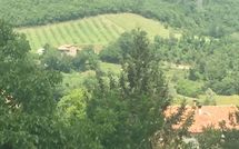 Photo submitted by guest of Palazzo Rosadi