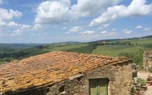 Photo submitted by guest of La Chiantigiana